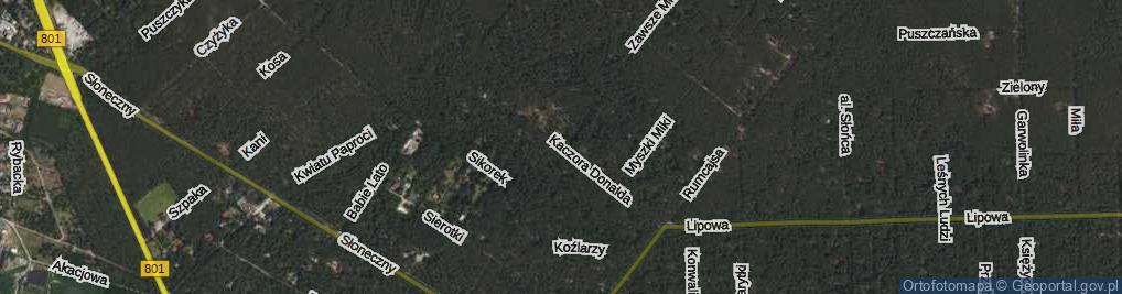 Zdjęcie satelitarne Kaczora Donalda ul.